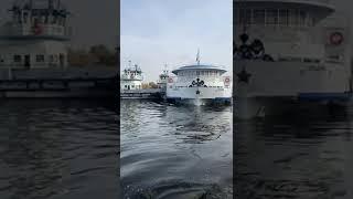 Пассажирский теплоход Бородино сел на мель на Оке вблизи Белоомута