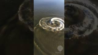 Гидроцикл на Смоленском озере с воздушного шара Aero-67