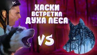 ХАСКИ ПРОТИВ  "Дух леса" | Дебют и сразу первое место? | Призовые драйленда