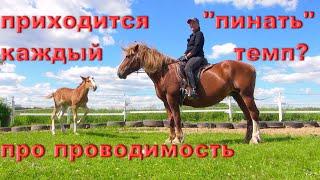Это "страшное" и непонятное слово "проводимость".