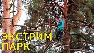 VLOG: В путешествие с собакой / Экстрим парк "Сумасшедшая белка" в г.Буча на высоте 12 метров