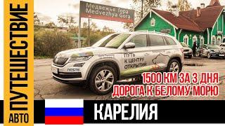 Автопутешествие на SKODA KODIAQ к Петроглифам и Белому морю