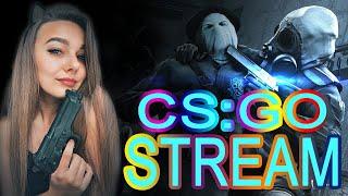 ❤ ДЕВУШКА С ВЕБКОЙ ❤ СТРИМ CS GO / СТРИМ КС ГО /ИГРАЮ С ПОДПИСЧИКАМИ /BRODYSTREAM