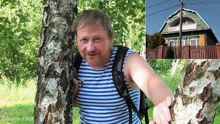 Мостик - хрен заберешься. Прогулка по Дмитровскому переулку