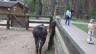 В Серпухов на выходные 2020 сентябрь