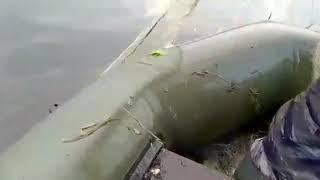 рыбалка сетями караси