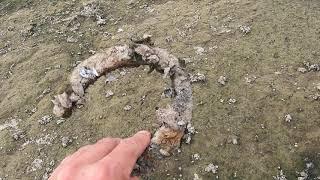 В центре пересохшего Краснодарского водохранилища.