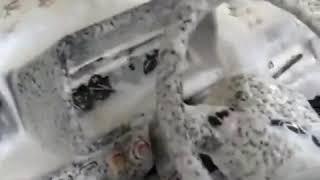 Очен прикольная авто мойка/automatic car wash