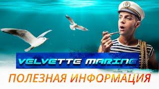 Когда лучше покупать катер или лодку / Советы от Velvette Marine