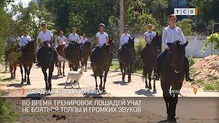 Парадная женская конница