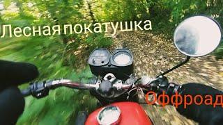 Лесной продубас на Иж юпитер 5 по бездорожью - поехал по полю