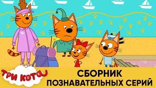Три Кота | Сборник познавательных серий | Мультфильмы для детей 2020