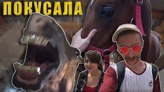 ЛОШАДЬ НАПАЛА НА ЧЕЛОВЕКА. УЧИМСЯ ВЕРХОВОЙ ЕЗДЕ