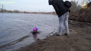 Покатушки по воде Stampede 4x4 roll ourselves on water Stampede 4x4