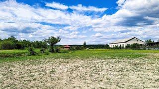 Кінний центр Селід, Виноградів / Szelíd Lovas Központ, Nagyszőlős