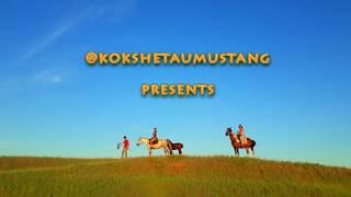 ПРОКАТ ЛОШАДЕЙ В КОКШЕТАУ КАЗАХСТАН инстаграм @kokshetaumustang