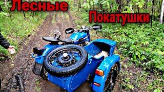 Лесные покатушки на мотоцикле урал. 
