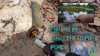 CASTING Di Kolam Ikan GABUS || Cast Vlog Belitung