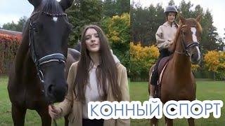 Конный спорт: тонкости и уловки #нашиживотные