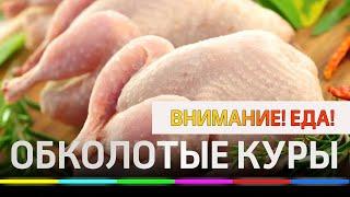 Внимание! Еда! Обколотые куры. Проверка 5 самых популярных марок охлажденных цыплят