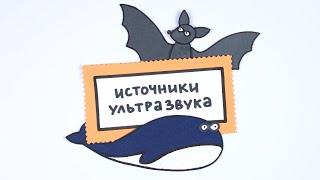 Источники ультразвука