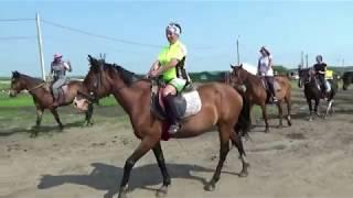 Конная прогулка - 1 июля 2020