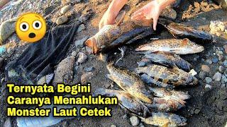 Padahal Cuma Mancing Dipinggir Malah Panen Kerapu Moster