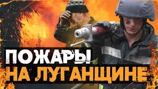 Штаб ООС нашел виновных в пожарах в Луганской области!