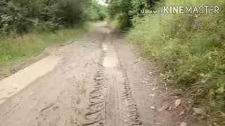 Покатушки на велосипедах до Дністра, нашли змію#1