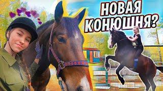 НОВАЯ КОНЮШНЯ? VLOG Конная прогулка / Кузнецкий Алатау