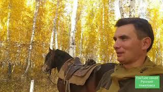 Прогулка жеребца. Рассказ про седло .