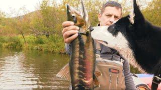 Мир Приключений - Рыбалка на Камчатке. Сплав по реке Опала. 4К. Kamchatka. The best fishing.