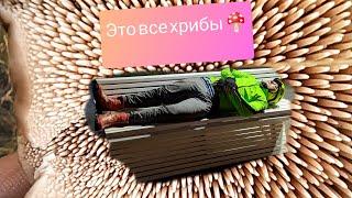 Покатушки на велосипеде. 150км что-бы понюхать грибов 