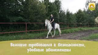 Обучение верховой езде для взрослых.