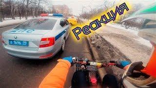 В междурядье на питбайке | Реакция ДПС
