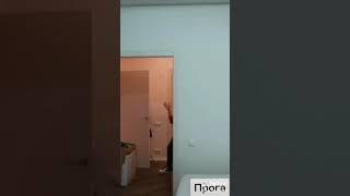 Наши русские богатыри 
