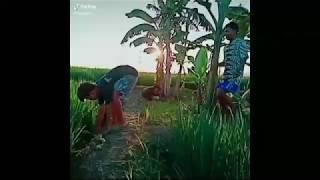 Kumpulan video MEME | kowe tak sayang sayang saiki malah ngilang Part6
