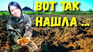 Вот что можно найти в огороде. Коп поиск монет с металлоискателем, женский коп.