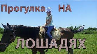 Прогулка на лошадях