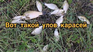 Рыбалка на ПРУДУ!