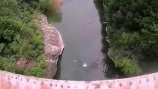 Лучшая подборка экстрим-приколов 2020г.