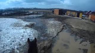 Лошадь. Прогулка верхом. Сахалин. 29.04.2020