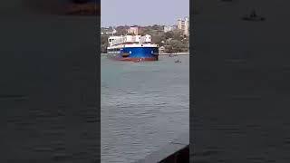 Рыба дороже чем жизнь?
