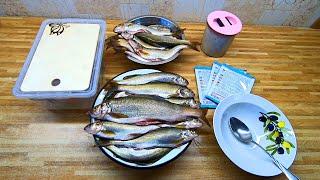 Самый ВКУСНЫЙ Рецепт ЗАСОЛА Хариуса - ЯЗЫК ПРОГЛОТИШЬ! Дедовский  СПОСОБ, без ОПИСТОРХОЗА!
