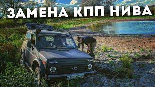 ОТРЫГНУЛА КОРОБКА НА НИВАСЕ! ЧТО ДЕЛАТЬ?