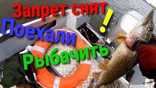 ЗАПРЕТ СНЯТ РЫБАЛКА ОТКРЫТИЕ 16.05.2020 ЛОВИМ И ЖАРИМ СВЕЖУЮ ЩУЧКУ КАТЕР КРЫМ 3 МОТОР HONDA BF 50