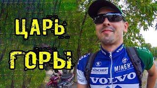 ЦАРЬ ГОРЫ КЫРДЫПЫРДЫ. Попытка установить рекорд под грибами в STRAVA (в поселке БУГАЕВКА)