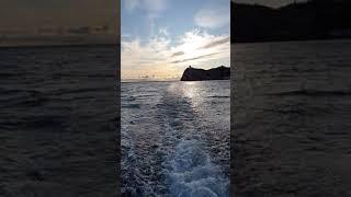 Ялта.  Ласточкино гнездо 28.12.2019