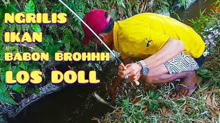 Los Doll || Ngrilis Ikan Babon Di Selokan || Sampai Pada Berebut Ikan
