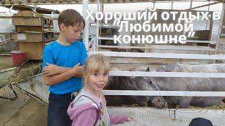 Отдых с друзьями в "Любимой конюшне"